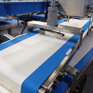 Roti Planta production line